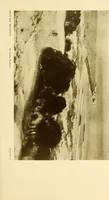 An illustration from Art in California : a survey of American art with special reference to Californian painting, sculpture and architecture past and present, particularly as those arts were represented at the Panama-Pacific International Exposition : being essays and articles by the following contributors (1916)
