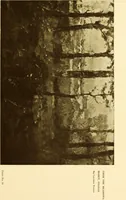 An illustration from Art in California : a survey of American art with special reference to Californian painting, sculpture and architecture past and present, particularly as those arts were represented at the Panama-Pacific International Exposition : being essays and articles by the following contributors (1916)