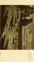 An illustration from Art in California : a survey of American art with special reference to Californian painting, sculpture and architecture past and present, particularly as those arts were represented at the Panama-Pacific International Exposition : being essays and articles by the following contributors (1916)