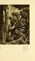 An illustration from Art in California : a survey of American art with special reference to Californian painting, sculpture and architecture past and present, particularly as those arts were represented at the Panama-Pacific International Exposition : being essays and articles by the following contributors (1916)