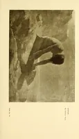 An illustration from Art in California : a survey of American art with special reference to Californian painting, sculpture and architecture past and present, particularly as those arts were represented at the Panama-Pacific International Exposition : being essays and articles by the following contributors (1916)