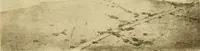 An illustration from Art in California : a survey of American art with special reference to Californian painting, sculpture and architecture past and present, particularly as those arts were represented at the Panama-Pacific International Exposition : being essays and articles by the following contributors (1916)