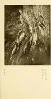 An illustration from Art in California : a survey of American art with special reference to Californian painting, sculpture and architecture past and present, particularly as those arts were represented at the Panama-Pacific International Exposition : being essays and articles by the following contributors (1916)