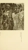 An illustration from Art in California : a survey of American art with special reference to Californian painting, sculpture and architecture past and present, particularly as those arts were represented at the Panama-Pacific International Exposition : being essays and articles by the following contributors (1916)