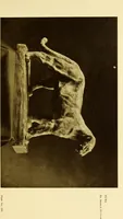 An illustration from Art in California : a survey of American art with special reference to Californian painting, sculpture and architecture past and present, particularly as those arts were represented at the Panama-Pacific International Exposition : being essays and articles by the following contributors (1916)