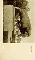 An illustration from Art in California : a survey of American art with special reference to Californian painting, sculpture and architecture past and present, particularly as those arts were represented at the Panama-Pacific International Exposition : being essays and articles by the following contributors (1916)