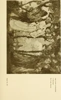 An illustration from Art in California : a survey of American art with special reference to Californian painting, sculpture and architecture past and present, particularly as those arts were represented at the Panama-Pacific International Exposition : being essays and articles by the following contributors (1916)