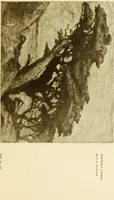 An illustration from Art in California : a survey of American art with special reference to Californian painting, sculpture and architecture past and present, particularly as those arts were represented at the Panama-Pacific International Exposition : being essays and articles by the following contributors (1916)