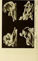 An illustration from Art in California : a survey of American art with special reference to Californian painting, sculpture and architecture past and present, particularly as those arts were represented at the Panama-Pacific International Exposition : being essays and articles by the following contributors (1916)