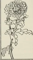 An illustration from Art in costume design; practical suggestions for those interested in art, sewing, history and literature (1920)