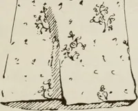 Picture 80 of 100 from Art in costume design; practical suggestions for those interested in art, sewing, history and literature (1920), leaf 170