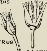 An illustration from Art in costume design; practical suggestions for those interested in art, sewing, history and literature (1920)