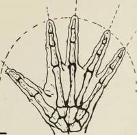 An illustration from Art in costume design; practical suggestions for those interested in art, sewing, history and literature (1920)