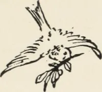 An illustration from Art in costume design; practical suggestions for those interested in art, sewing, history and literature (1920)