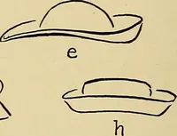 An illustration from Art in dress (1916)