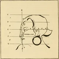 Picture 2 of 48 from Art in dress (1922), leaf 21
