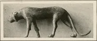 An illustration from Art in Egypt (1912)