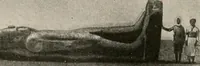 Picture 440 of 511 from Art in Egypt (1912), leaf 275