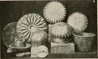 Picture 510 of 511 from Art in Egypt (1912), leaf 315