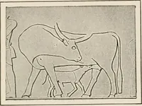 An illustration from Art in Egypt (1912)