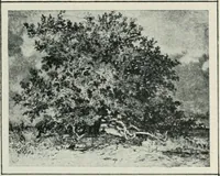 An illustration from Art in France (1911)