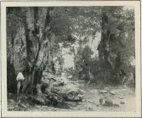 An illustration from Art in France (1911)
