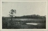 An illustration from Art in France (1911)