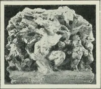 An illustration from Art in France (1911)