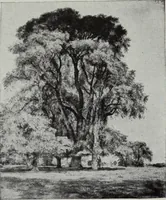 Picture 458 of 536 from Art in Great Britain and Ireland (1909), leaf 309
