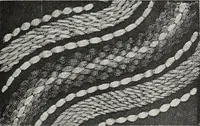 An illustration from Art in needlework; a book about embroidery (1900)
