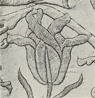 An illustration from Art in needlework; a book about embroidery (1900)
