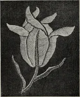 An illustration from Art in needlework; a book about embroidery (1900)