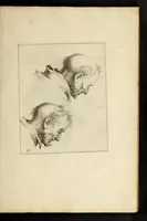 An illustration from Artis Apelleae : liber hic, studiosa juventus, aptata ingenio fert rudimenta tuo : hos duce carpe viam, membratim tota figura discitur, his gradibus scandere ad alta dabit (1650)