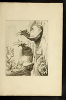 Picture 31 of 34 from Artis Apelleae : liber hic, studiosa juventus, aptata ingenio fert rudimenta tuo : hos duce carpe viam, membratim tota figura discitur, his gradibus scandere ad alta dabit (1650), leaf 313