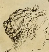 An illustration from Artis Apelleae : liber hic, studiosa juventus, aptata ingenio fert rudimenta tuo : hos duce carpe viam, membratim tota figura discitur, his gradibus scandere ad alta dabit (1650)