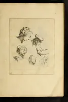 An illustration from Artis Apelleae : liber hic, studiosa juventus, aptata ingenio fert rudimenta tuo : hos duce carpe viam, membratim tota figura discitur, his gradibus scandere ad alta dabit (1650)