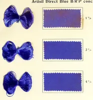 An illustration from Artisil direct colors (1900)