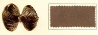 An illustration from Artisil direct colors (1900)