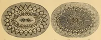 An illustration from Artistic embroidery; containing practical instructions in the ornamental branches of needlework (1880)
