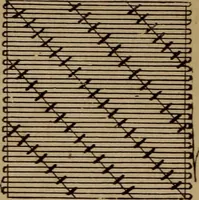 An illustration from Artistic embroidery : containing practical instructions in the ornamental branches of needlework (1880)