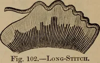 An illustration from Artistic embroidery : containing practical instructions in the ornamental branches of needlework (1880)