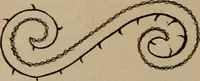 An illustration from Artistic embroidery : containing practical instructions in the ornamental branches of needlework (1880)