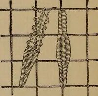An illustration from Artistic embroidery : containing practical instructions in the ornamental branches of needlework (1880)