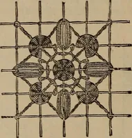 An illustration from Artistic embroidery : containing practical instructions in the ornamental branches of needlework (1880)