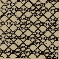 An illustration from Artistic embroidery : containing practical instructions in the ornamental branches of needlework (1880)