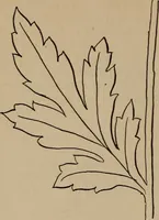 An illustration from Artistic embroidery : containing practical instructions in the ornamental branches of needlework (1880)