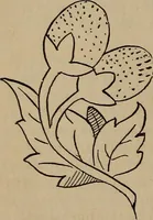 An illustration from Artistic embroidery : containing practical instructions in the ornamental branches of needlework (1880)