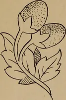 An illustration from Artistic embroidery : containing practical instructions in the ornamental branches of needlework (1880)