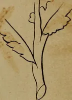 An illustration from Artistic embroidery : containing practical instructions in the ornamental branches of needlework (1880)