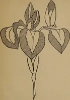 An illustration from Artistic embroidery : containing practical instructions in the ornamental branches of needlework (1880)
